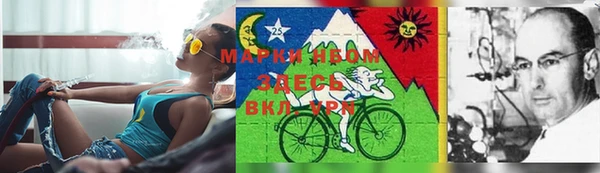 прущие крисы Арсеньев