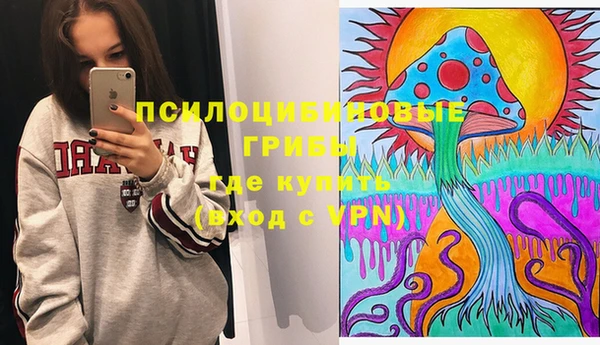 прущие крисы Арсеньев