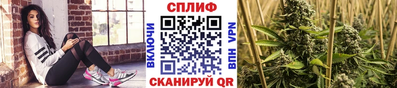 где купить наркоту  Малоархангельск  Марихуана Amnesia 
